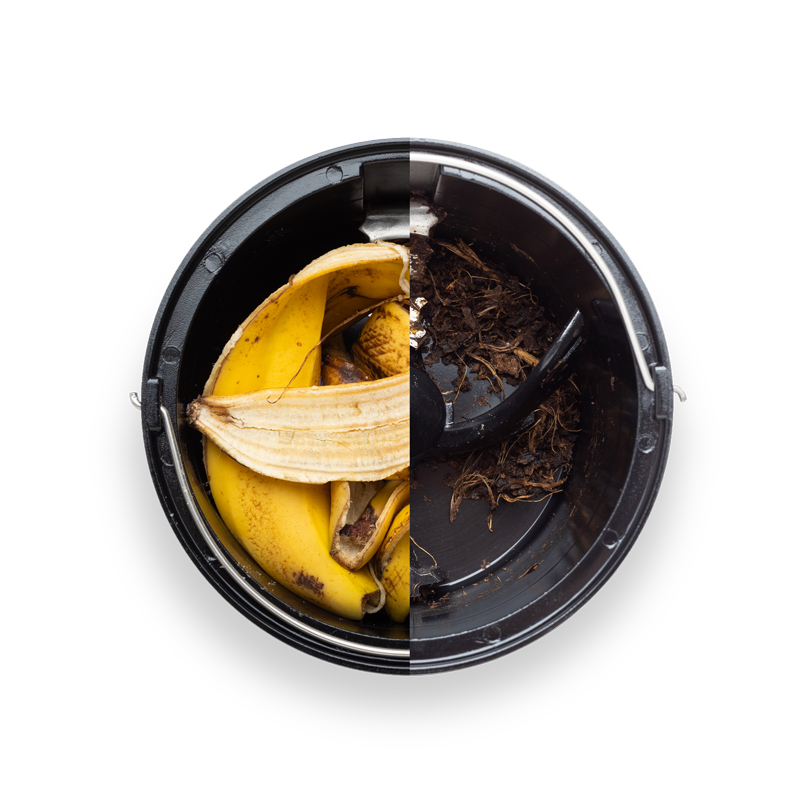 compostage de banane
